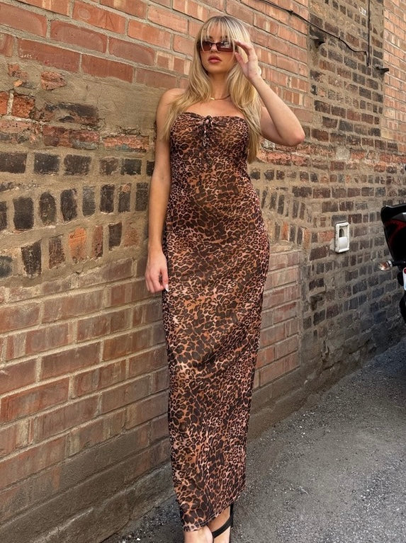 Sasha Leopard Dress